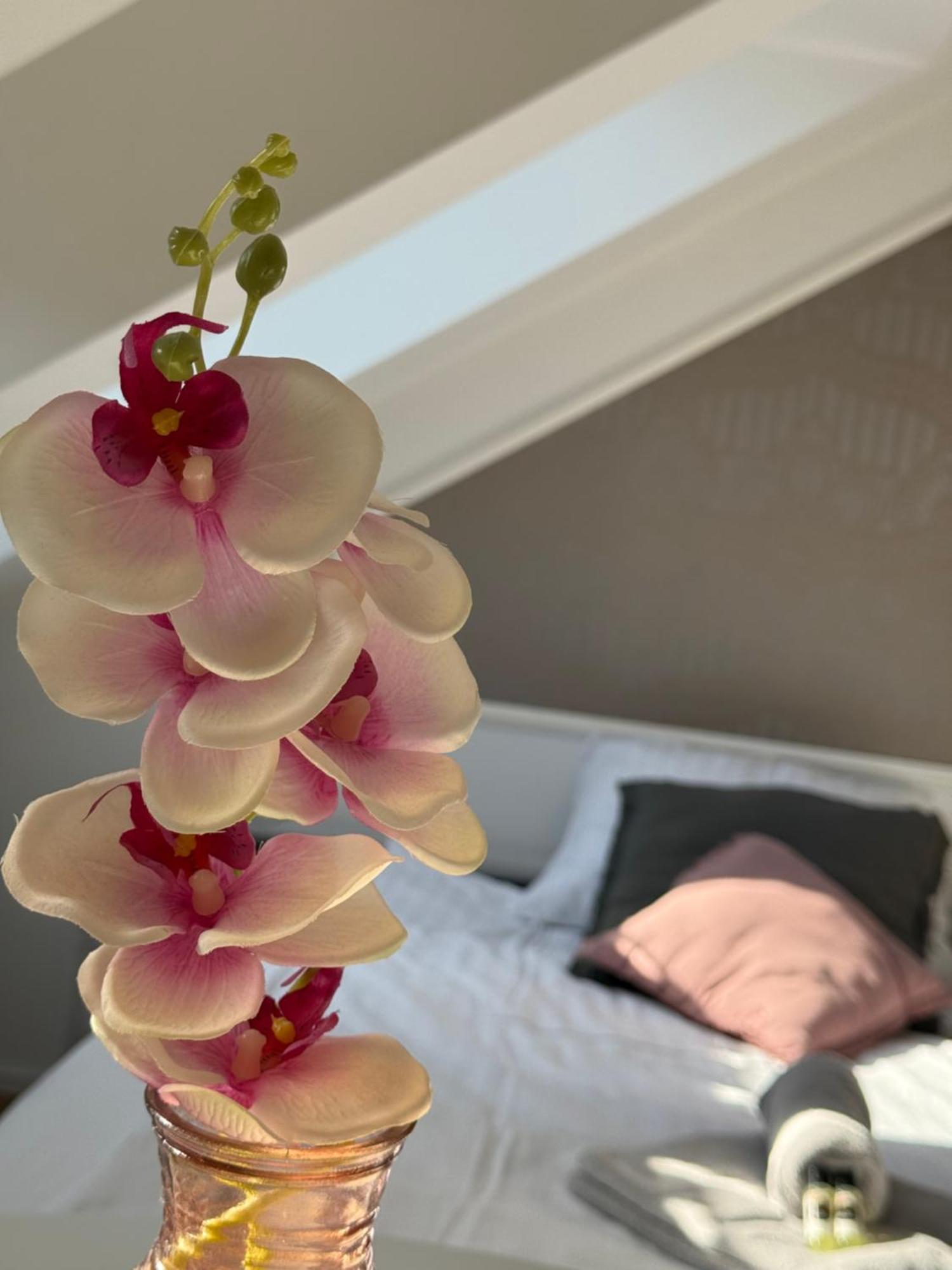 Cozy Apartments リュブリャナ エクステリア 写真